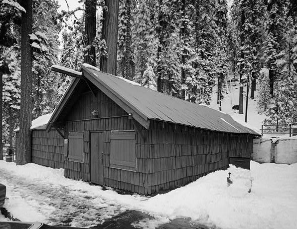 Giant Forest curio shop